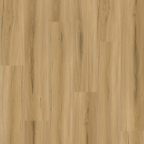 Maple